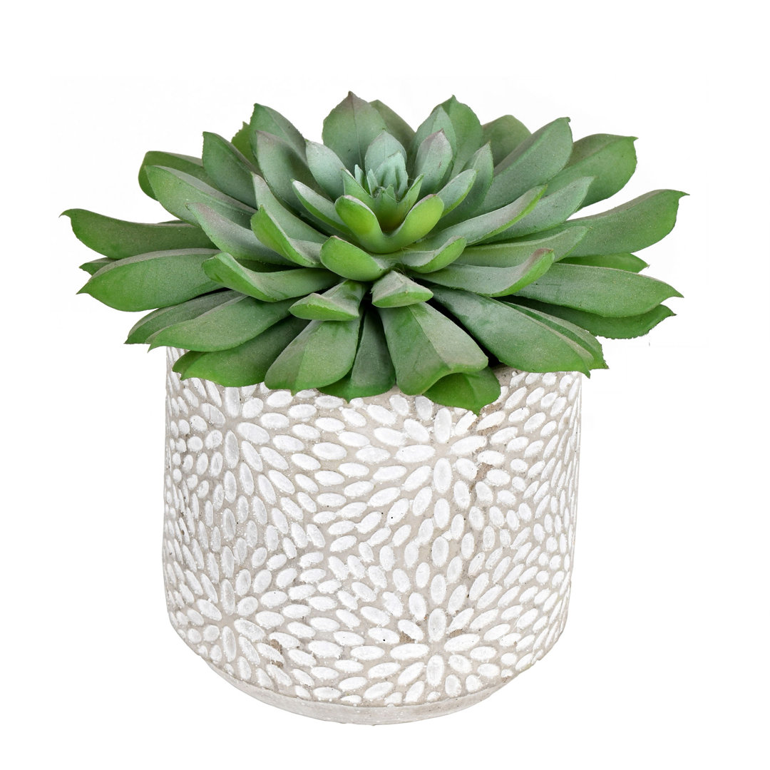 Artificial Succulent in Pot